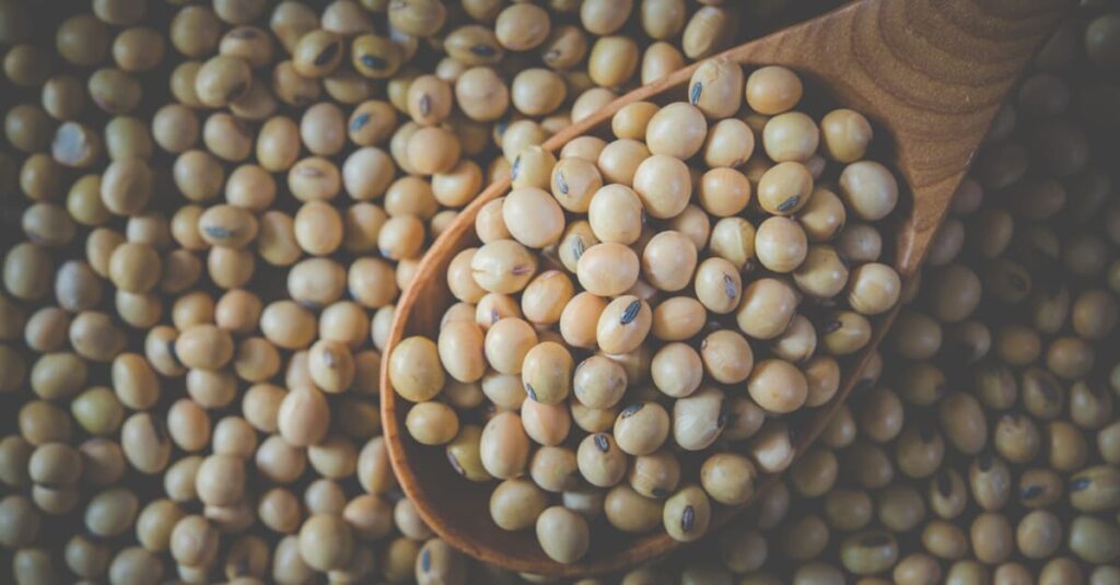 Entrega de soja é suspensa após alegação de inadimplemento Migalhas